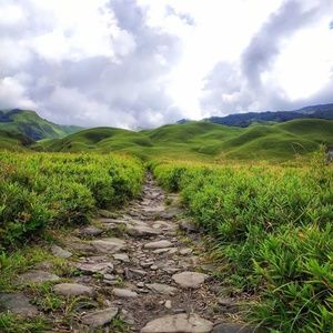 Meet your Posher, Vito